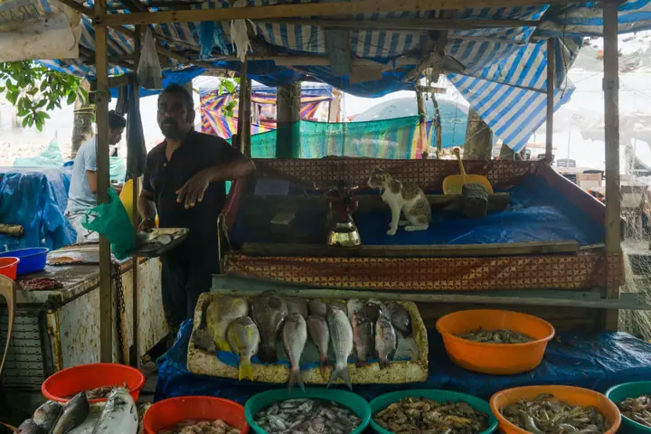 Fish seller at the Fort Kochi fish market in Kerala.