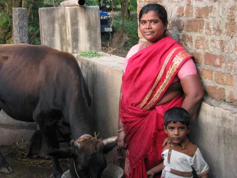 An Indian woman entrepreneur standing with her own dairy business.